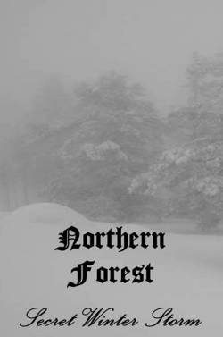 Northern Forest : Secret Winter Storm